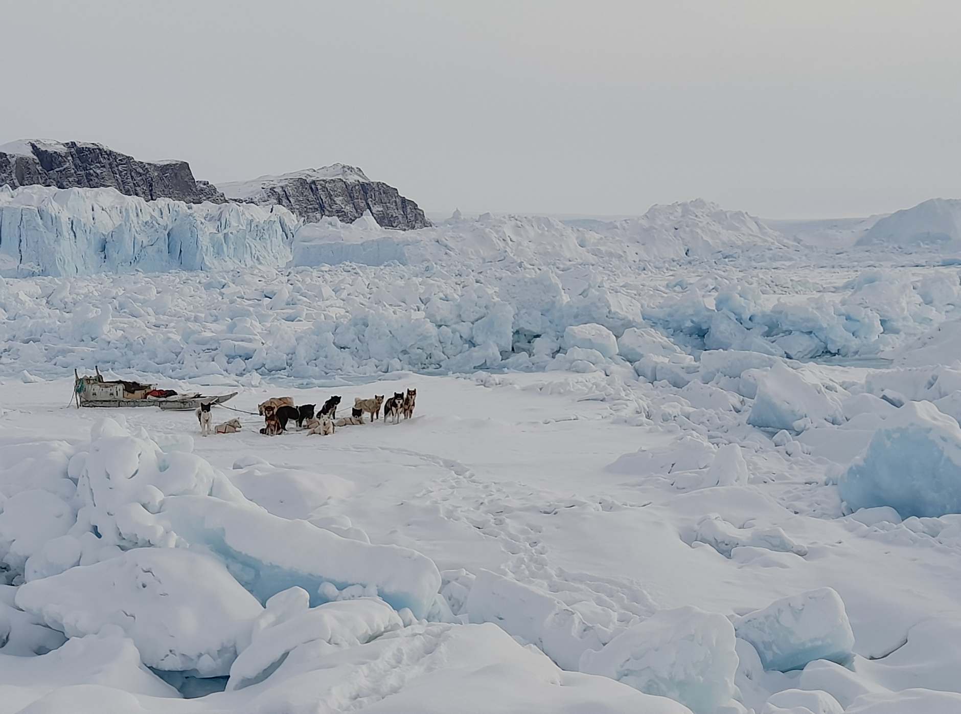 Ice, ocean, and glacier change in northern Greenland